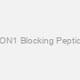 PON1 Blocking Peptide